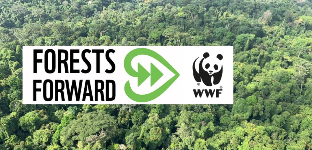 FF WWF