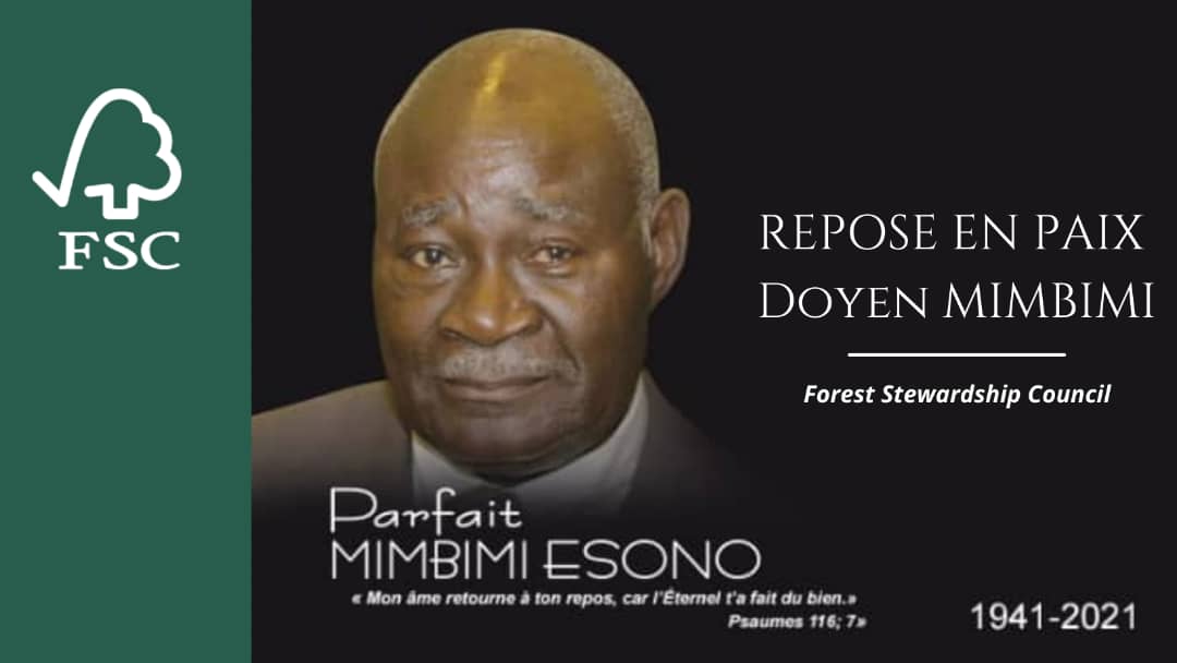 Parfait Minbimi