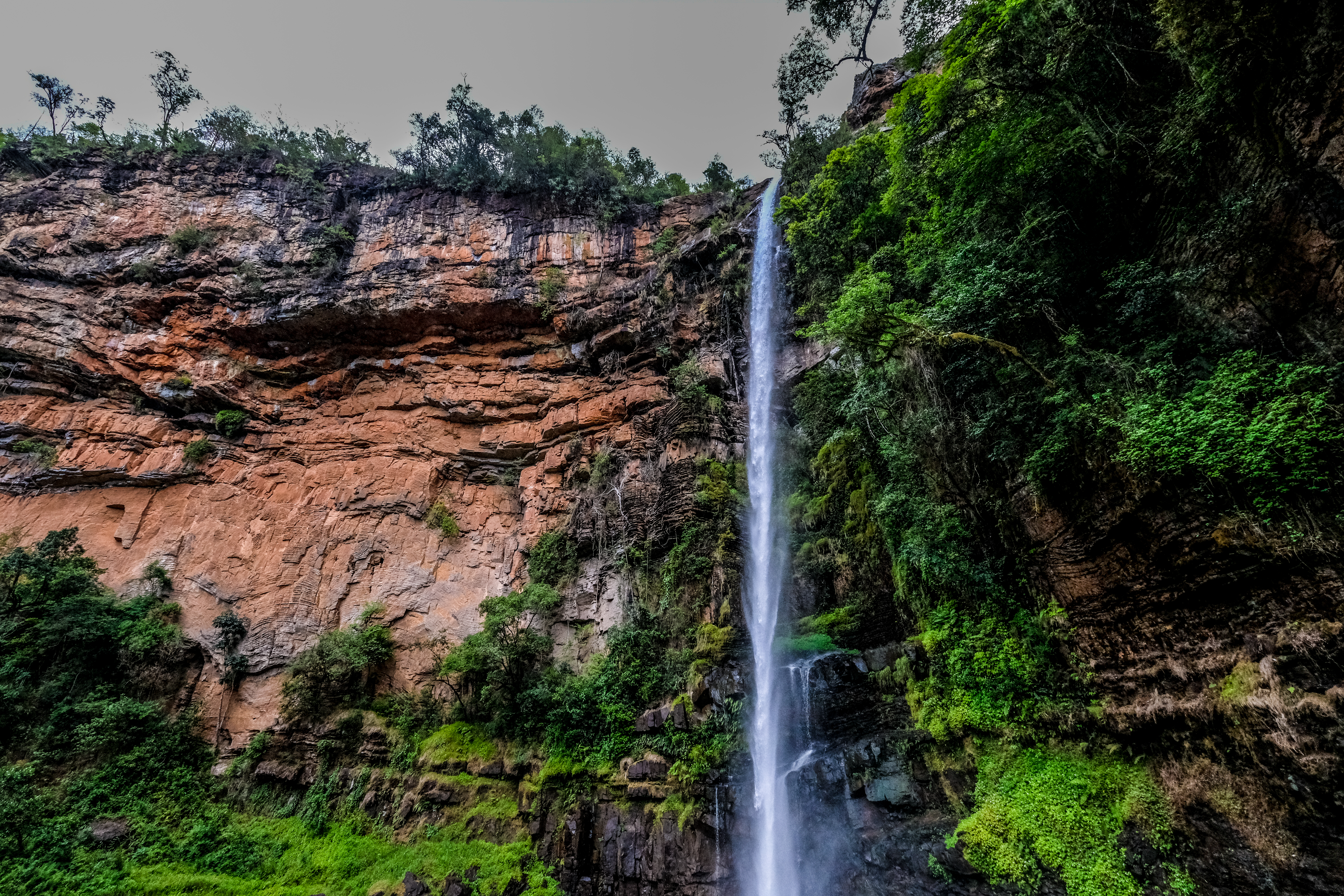 Beautiful High Conservation Value Areas within KLF plantations
