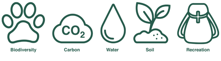 Key Ecosystems