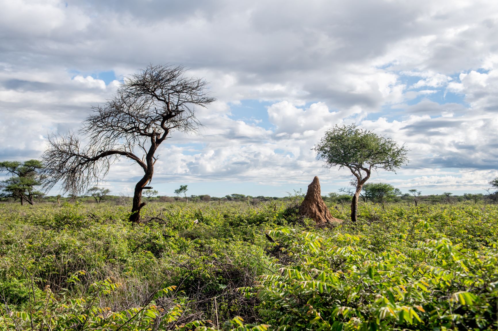 Namibia restauration