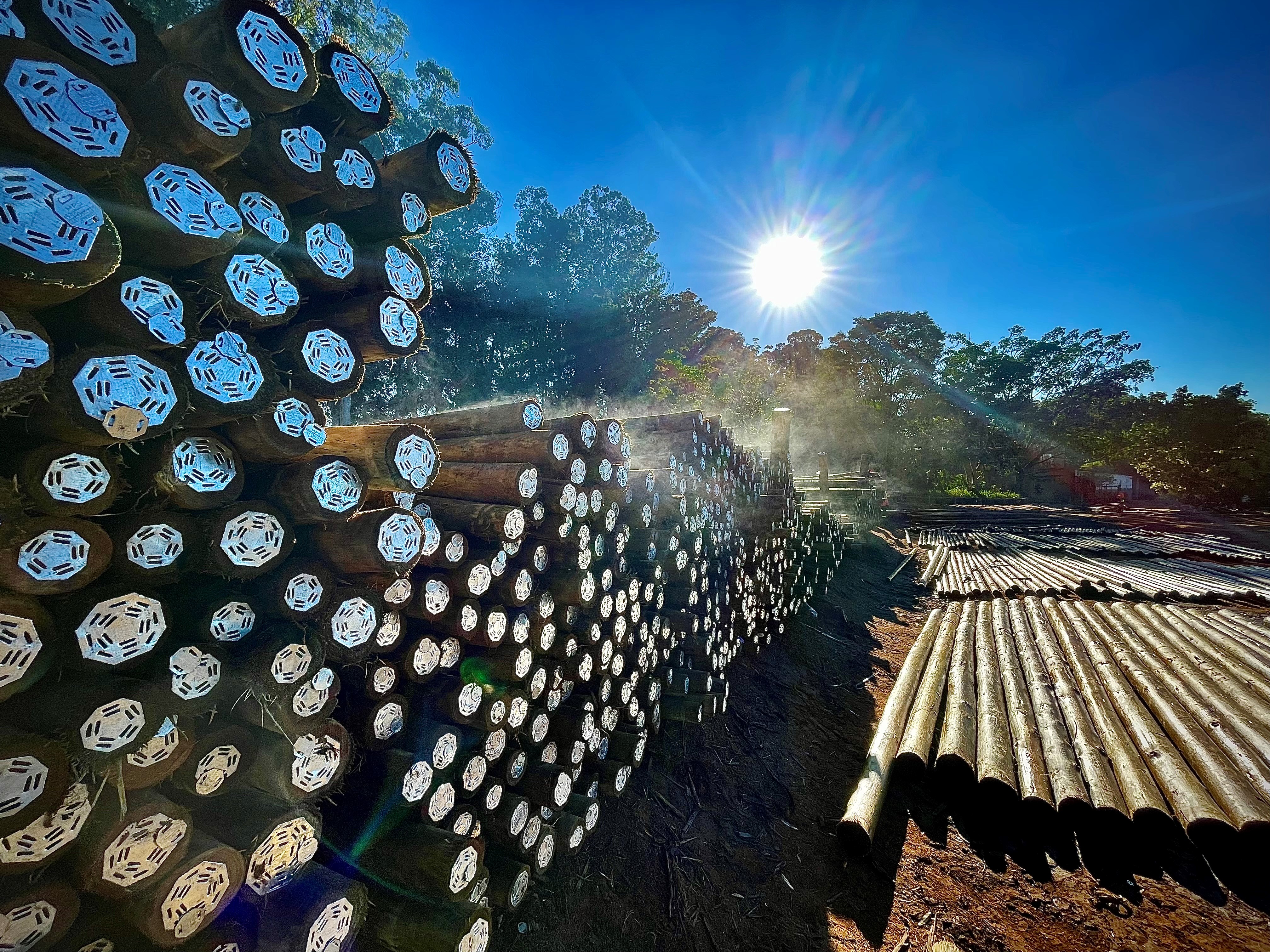 MTO Forestry Poles