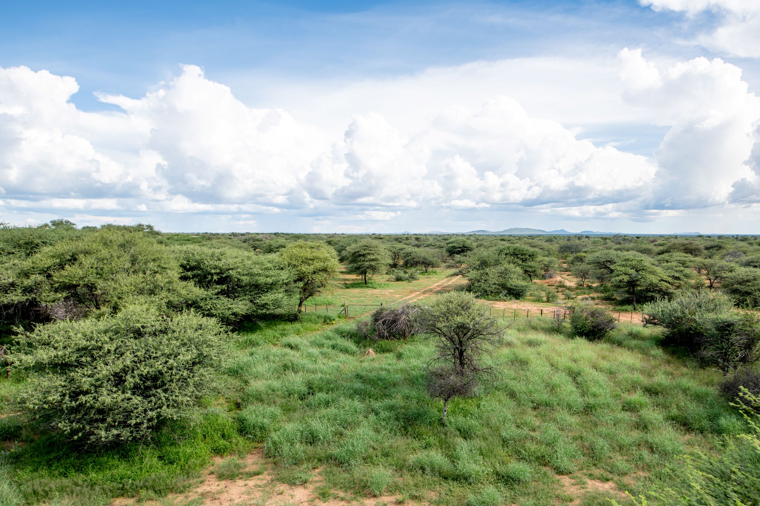 FSC Namibia