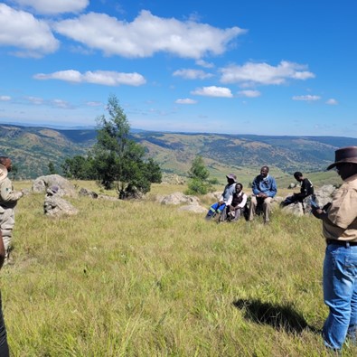 Swazi 2