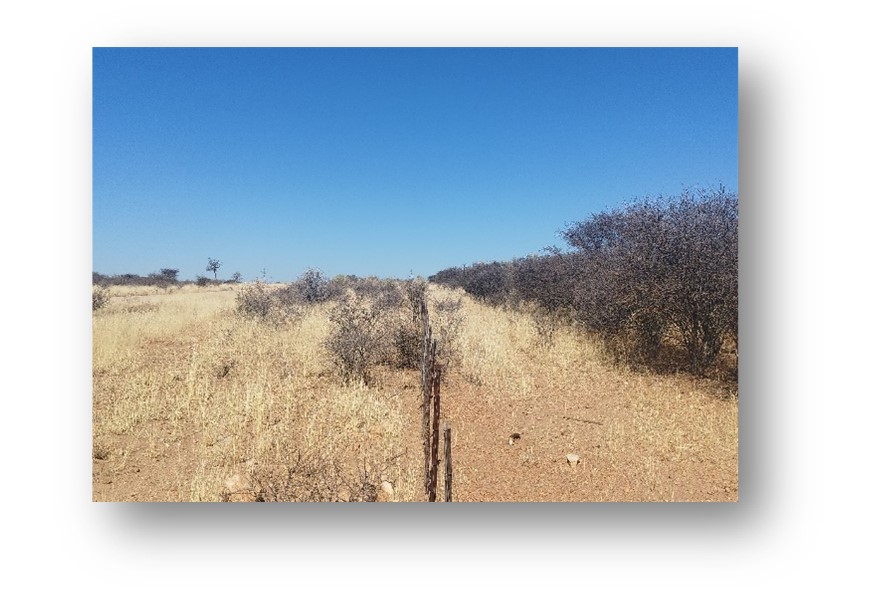 Namibia Road