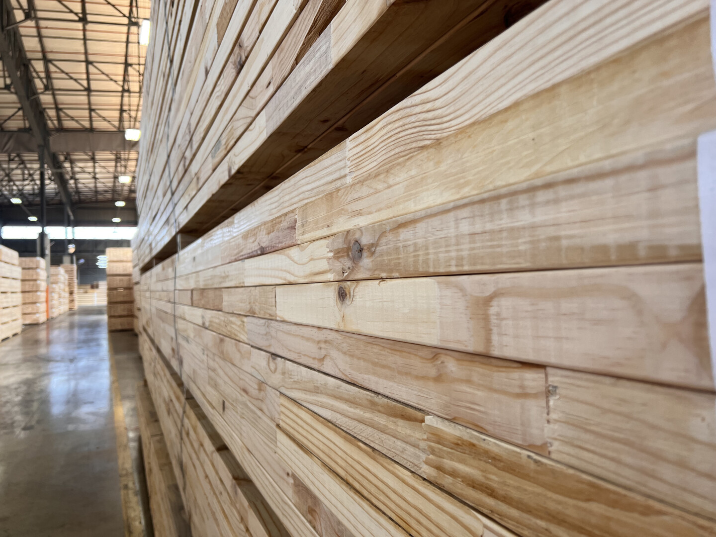 Sawn Timber