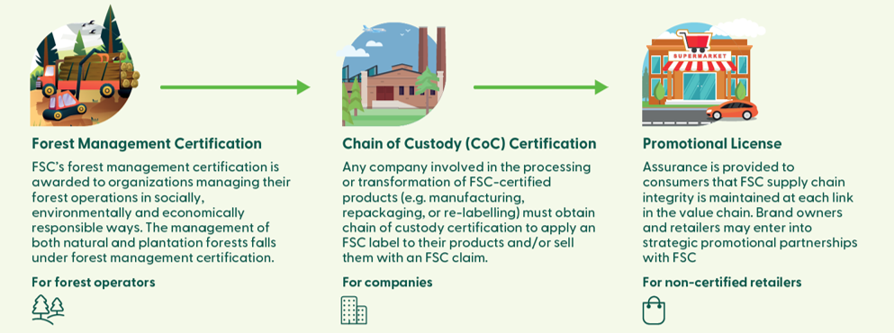 FSC Value Chain