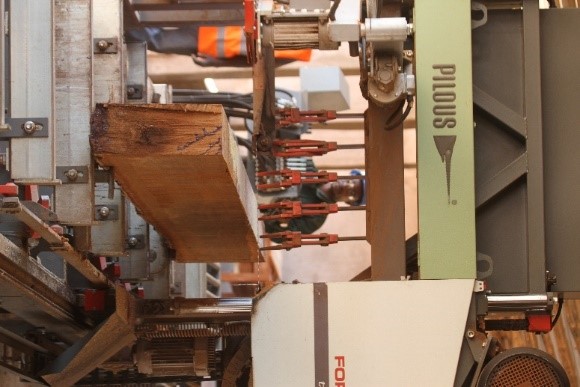 timber processing