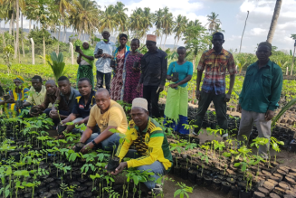 Tree nursery in Tanzania