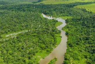 Congo River