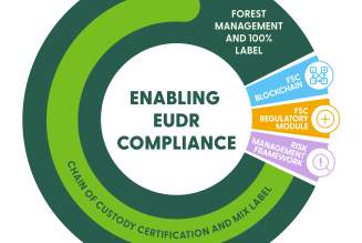 EUDR Infographic - Aligned circle only.png
