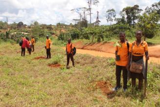 Forest Stewardship Council (FSC) Bassin du Congo - Cameroon
