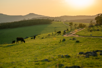 eSwatini 3