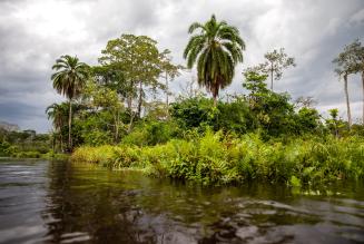 FSC Africa/Jonathan Perugia