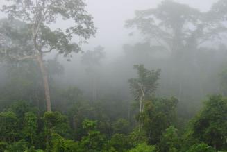 Image Credit: ROUGIER 