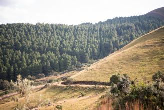 Biodiversity and conservation