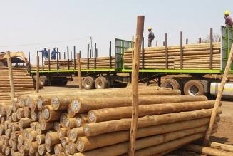 Wooden poles South Africa