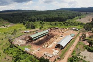 Busoga Forestry Company
