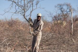 Aldi Charcoal Namibia