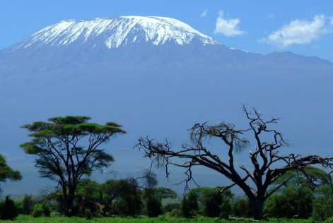 Kenya Visual