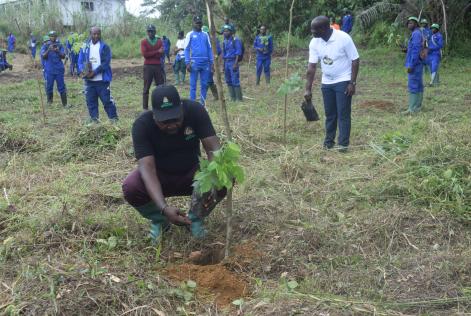 FSC Tree Planting