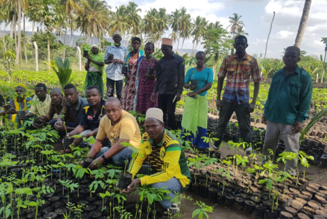 Tree nursery in Tanzania