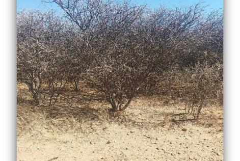 Namibia