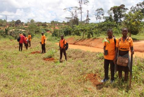 Forest Stewardship Council (FSC) Bassin du Congo - Cameroon