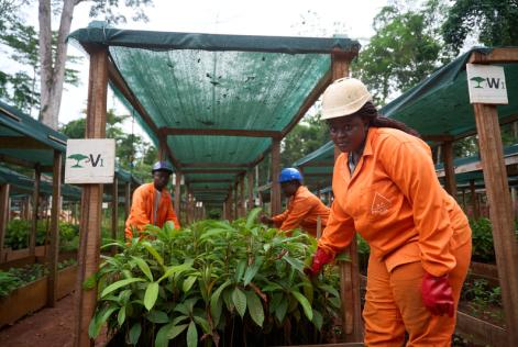 2024_FSC Africa_Mindourou, Cameroon_Forest management in FSC-certified forest unit Pallisco_(c)FSC Africa_Penjo Studios (169).JPG