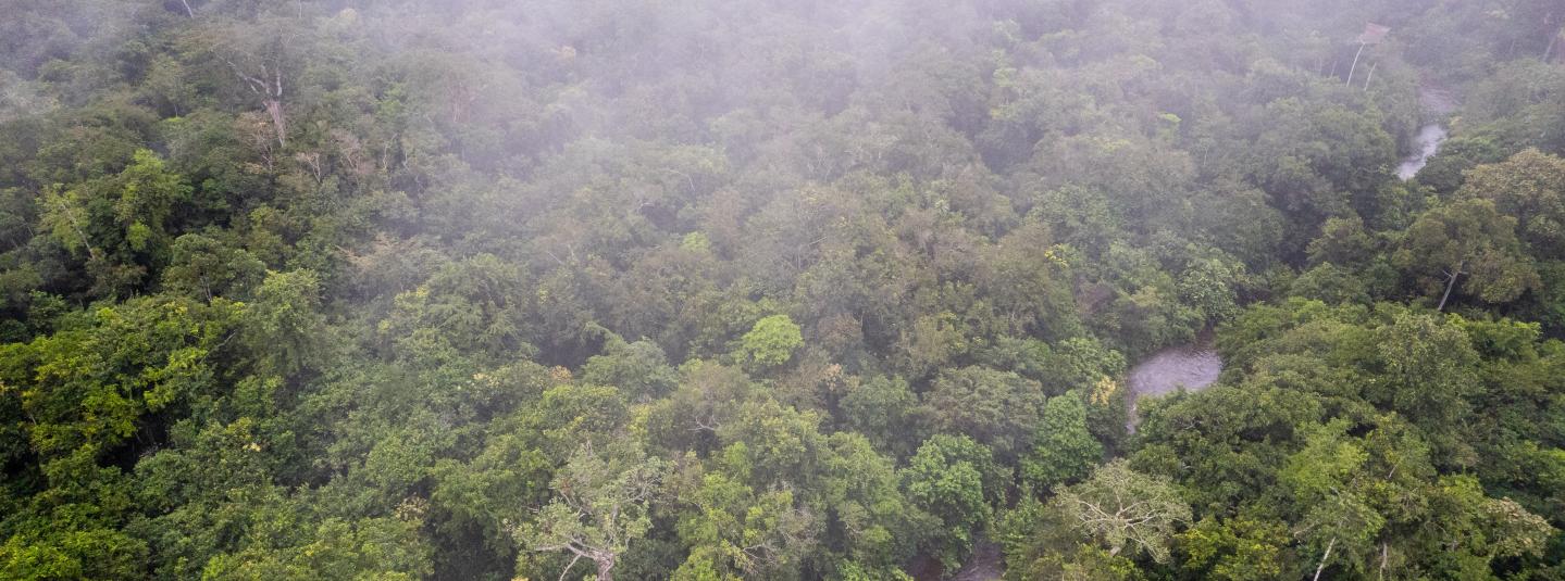0178-FSC_Congo_Drone-0095.jpg