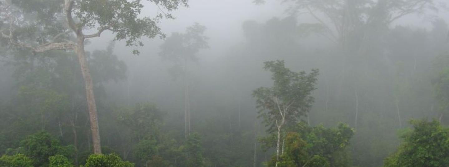 Image Credit: ROUGIER 