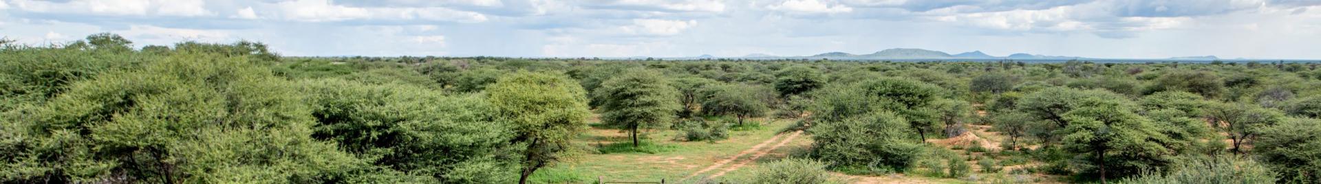 FSC Namibia