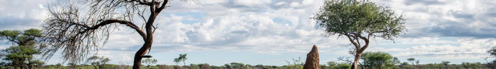 Namibia Landscape