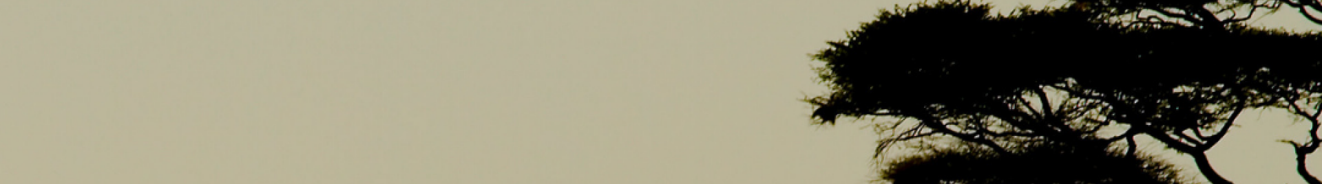 Tanzania  Skyline