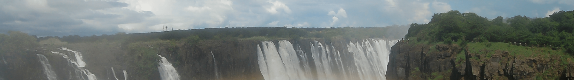 Zim banner 2