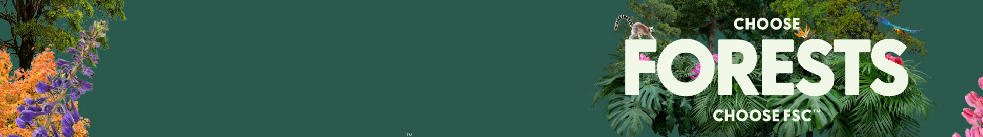 Plain banner