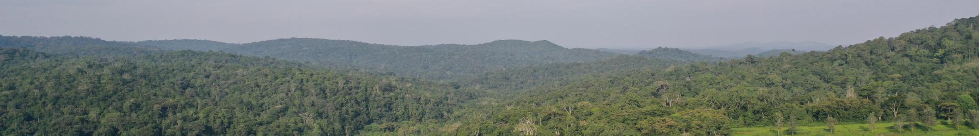 National Park in Uganda photo credit UWA