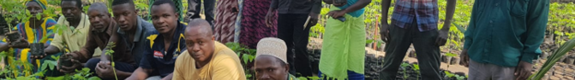 Tree nursery in Tanzania