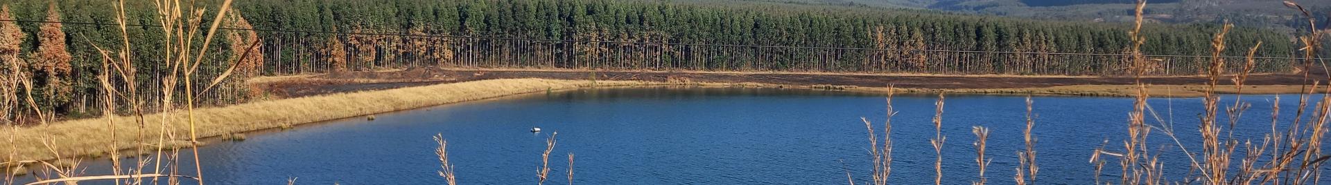 Midlands