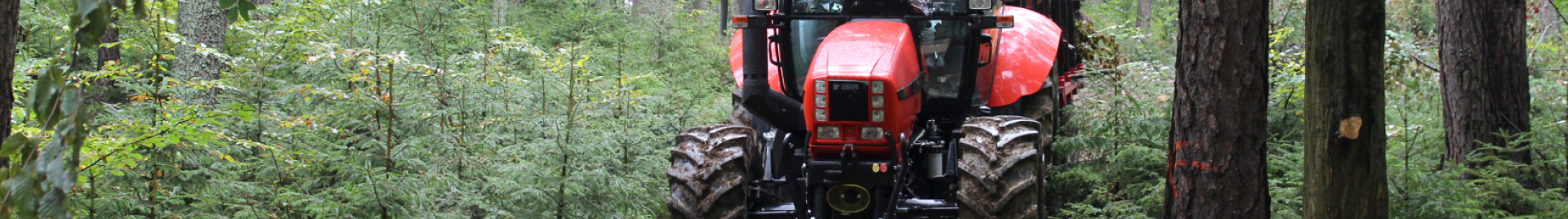 Forestry