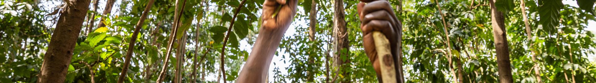 FSC_Kenya_Feb23-2037.jpg