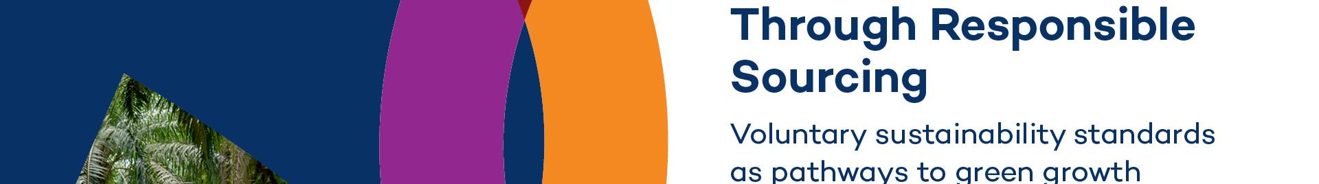 iisd RSP - FSC event.jpg