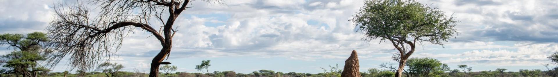 FSC Namibia
