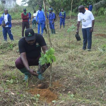 FSC Tree Planting